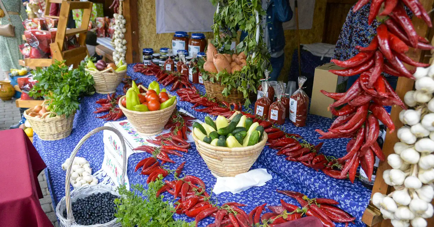 WordPress weboldal készítés Nyíregyházán