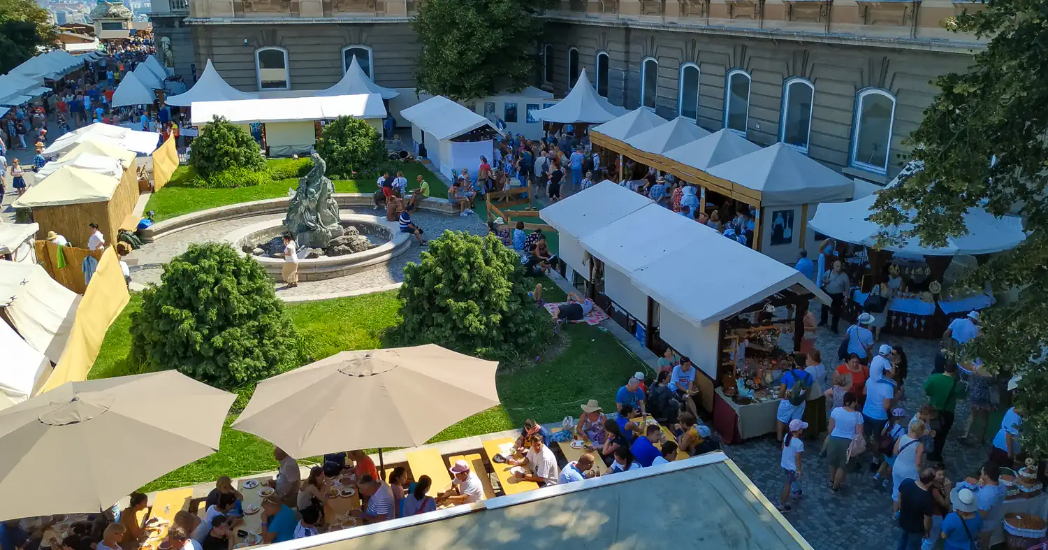 Céges weboldal készítés Pest megye