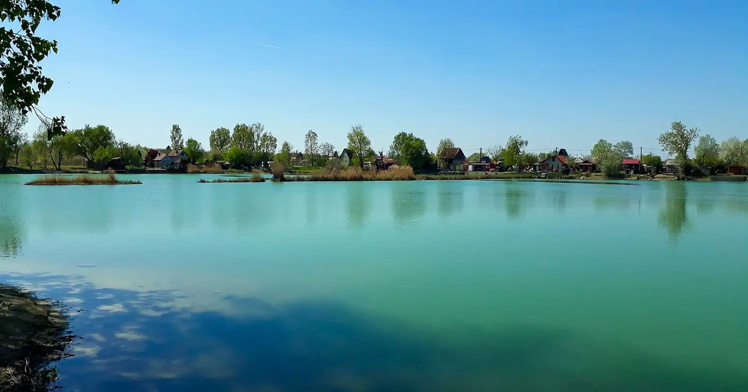 Weboldal készítés Cegléden