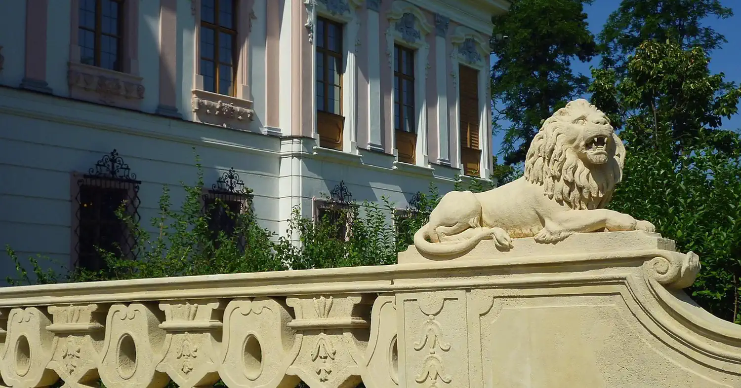 Weboldal készítés Gödöllő