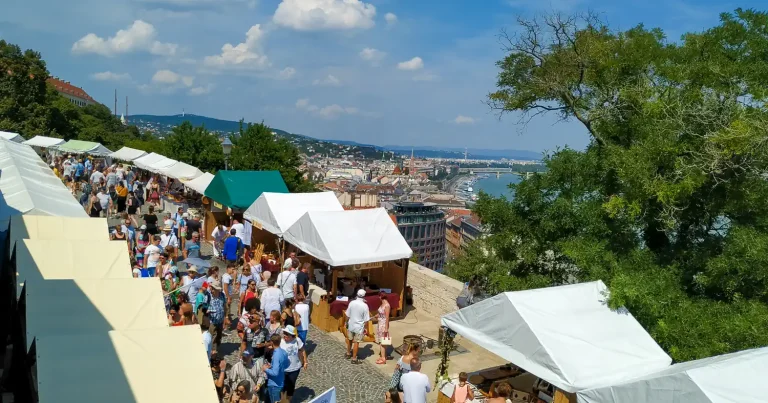 Webshop készítés Pest megyében