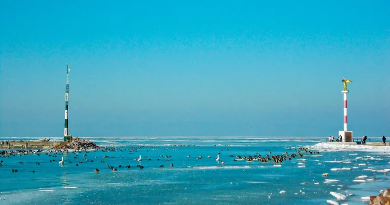 Siófok honlapkészítés