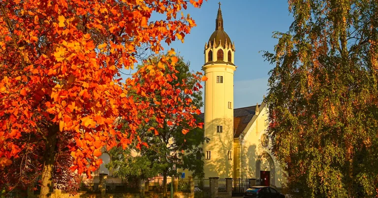 WordPress weboldal készítés Szolnok