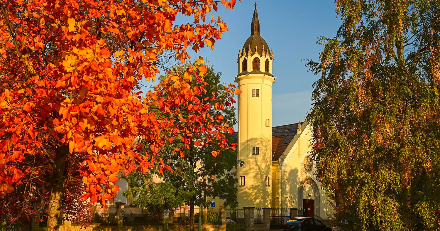 WordPress weboldal készítés Szolnok