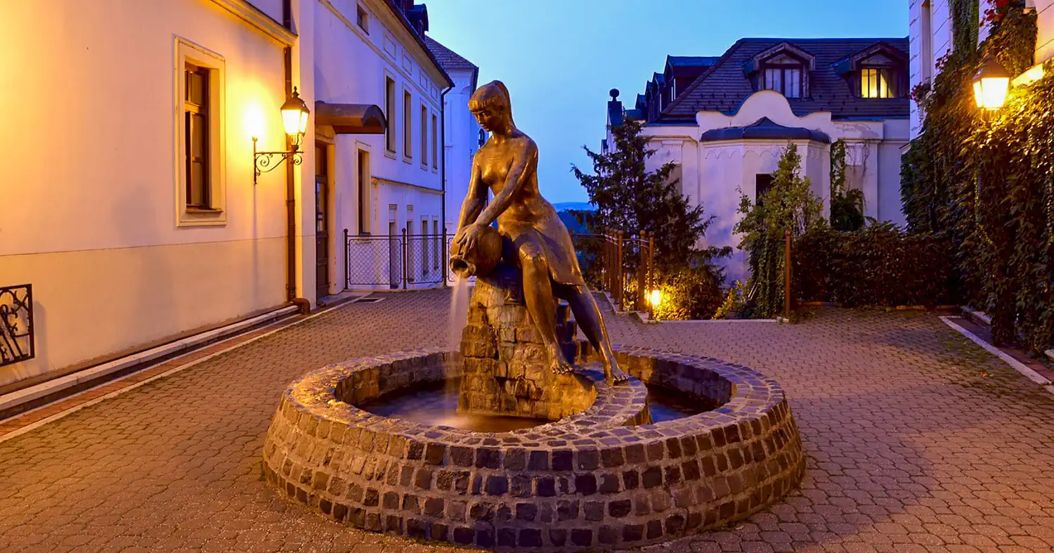 Weboldal készítő Veszprém