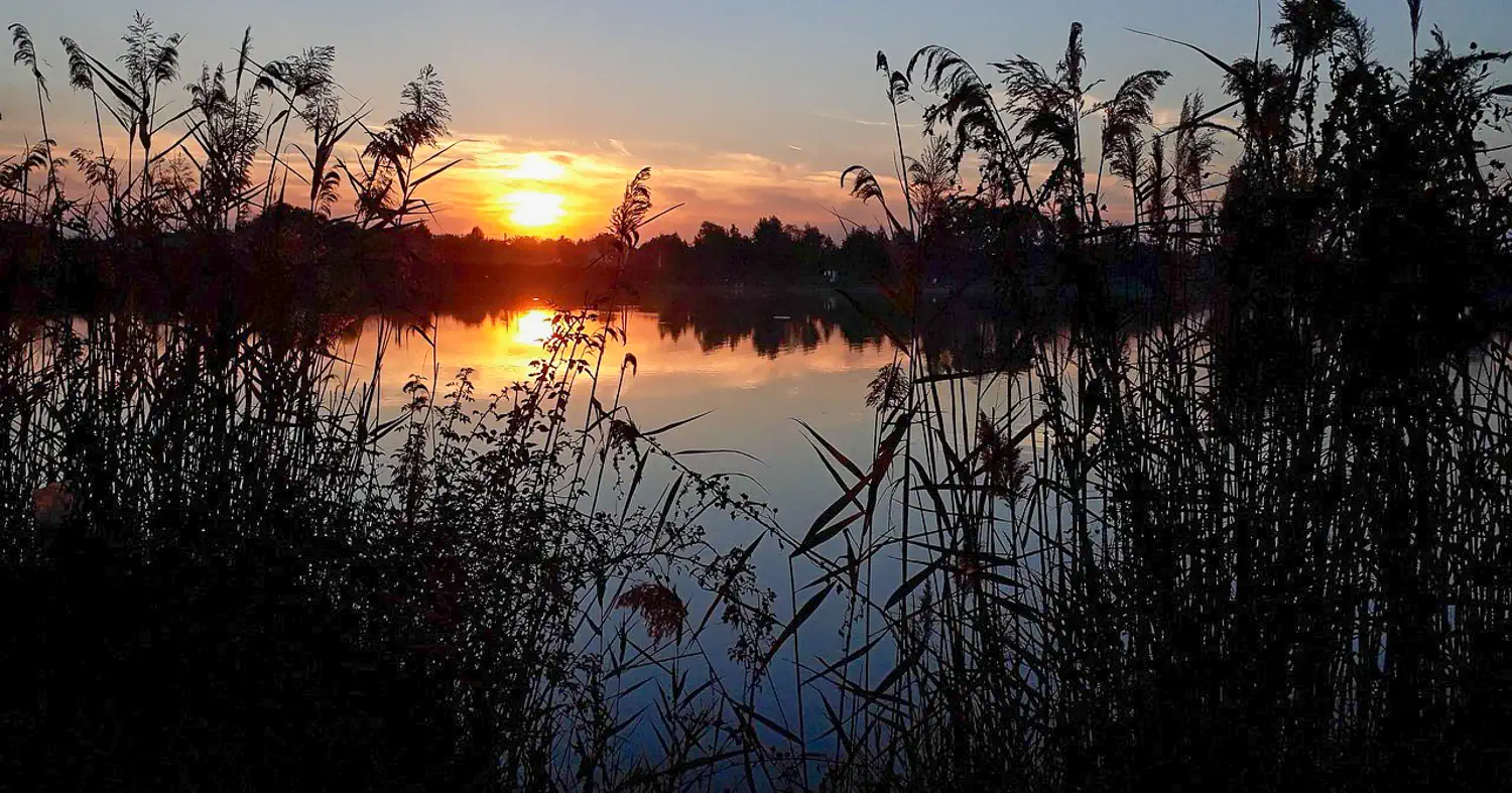 Honlapkészítés Cegléden