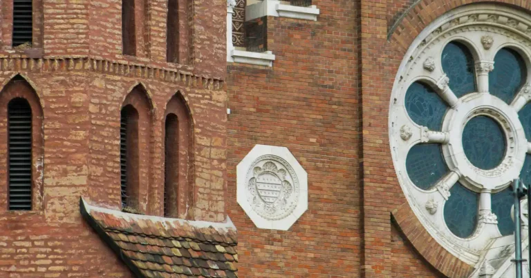 Céges weboldal készítés Csongrád-Csanád megyében