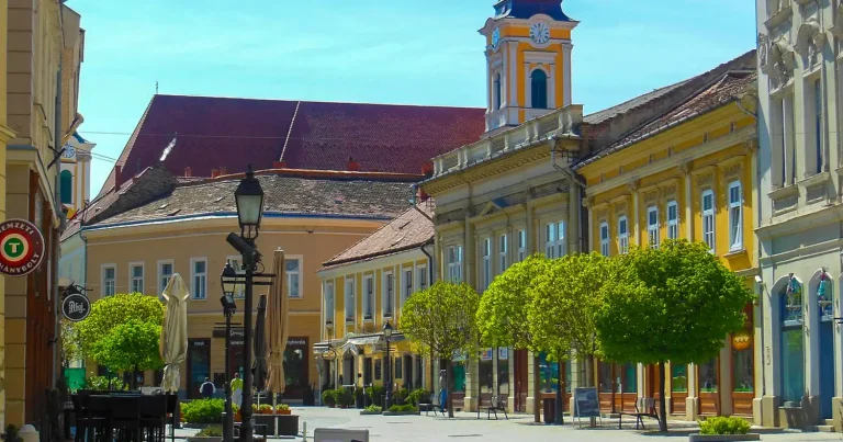 Webáruház készítés Fejér megyében