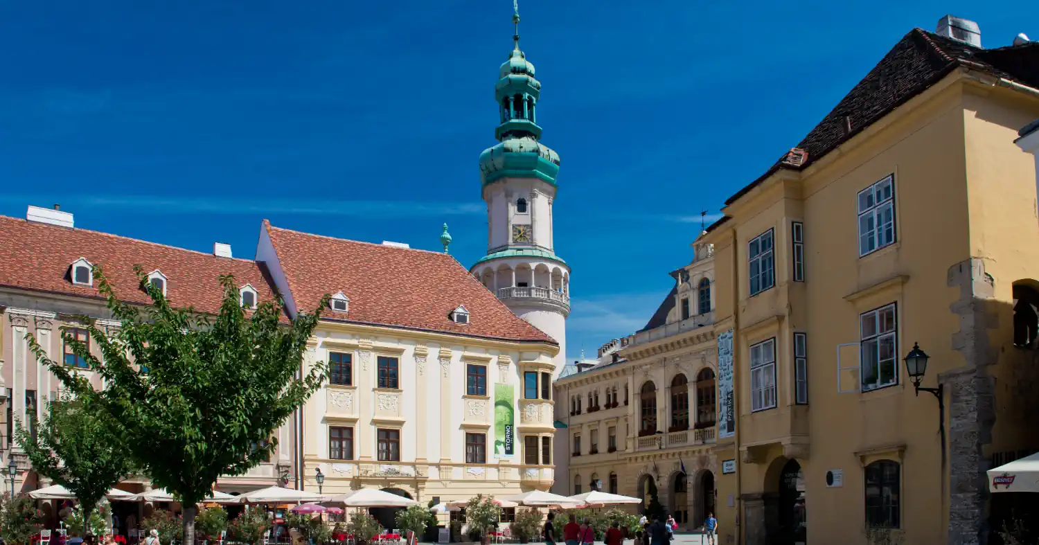 Céges weboldal készítés Győr-Moson-Sopron megyében