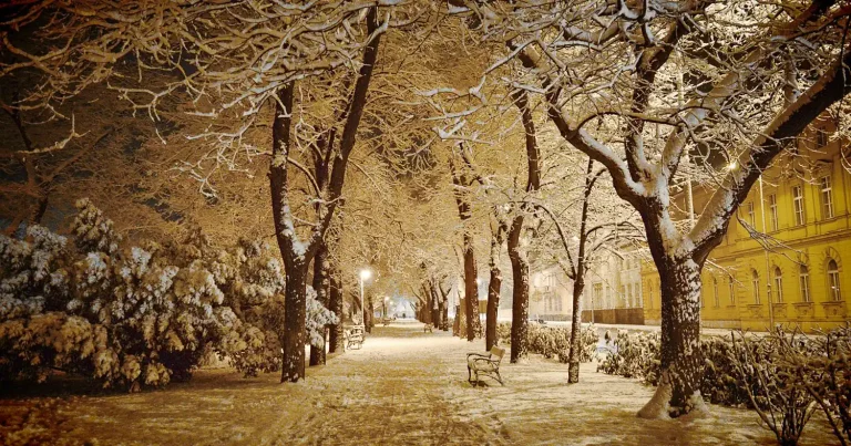 Weboldal karbantartás Székesfehérváron