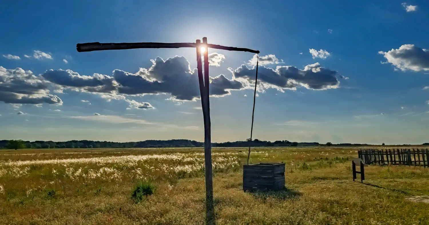 Céges weboldal készítés Bács-Kiskun megyében
