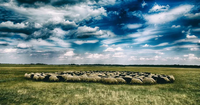 Webshop készítés Hajdú-Bihar megyében