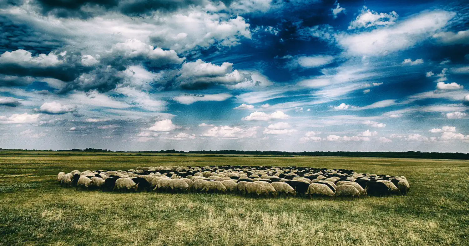 Webshop készítés Hajdú-Bihar megyében