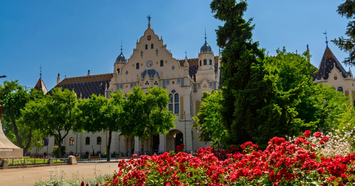 Weboldal szerkesztés Kecskeméten