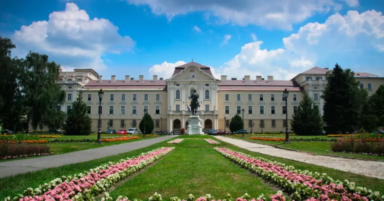 Webáruház készítés Gödöllőn