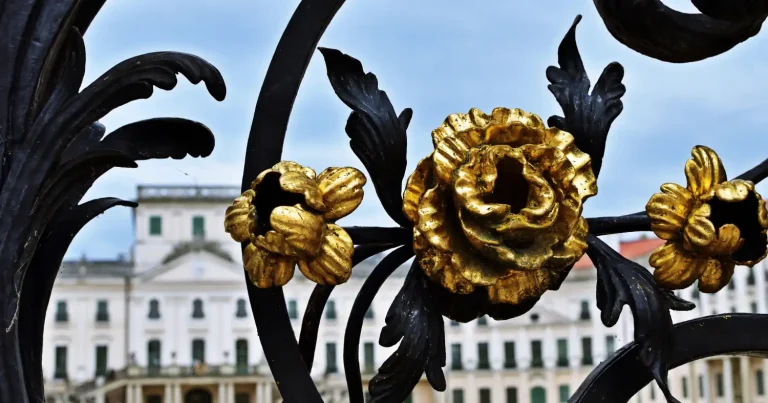 WordPress weboldal készítés Győr-Moson-Sopron megyében