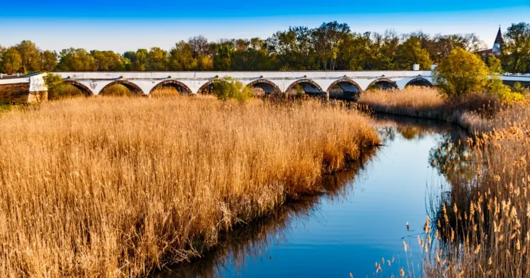 Céges weboldal készítés Hajdú-Bihar megyében