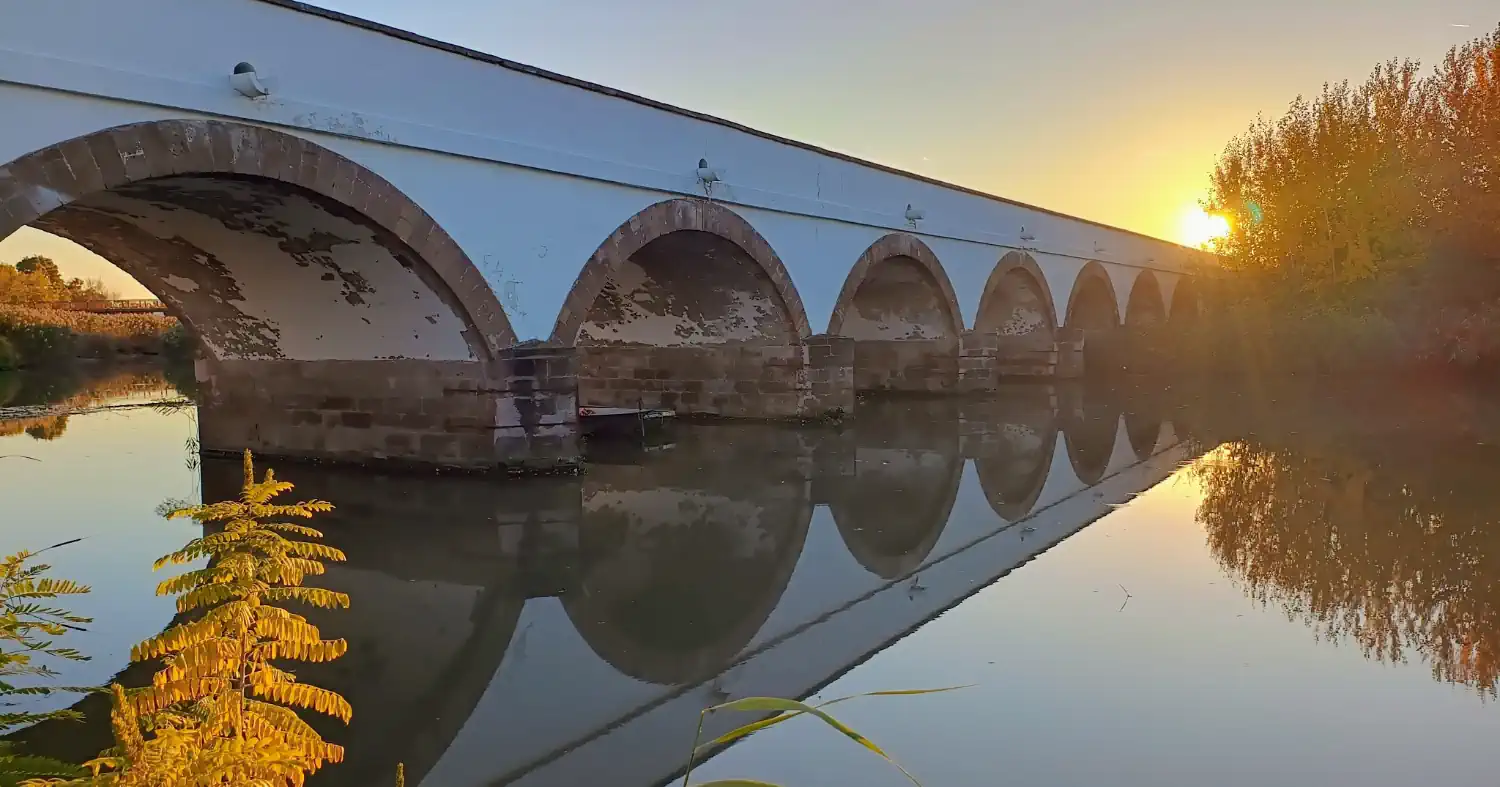 Honlapkészítés Hajdú-Bihar megyében