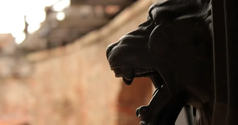 Webáruház készítés Baranya megyében