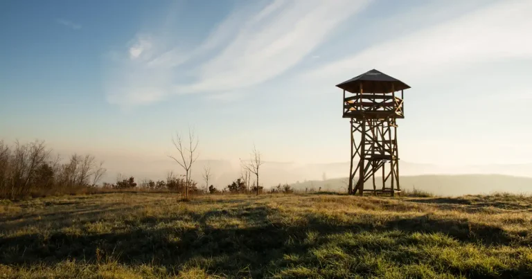 WordPress weboldal készítés Borsod-Abaúj-Zemplén megyében