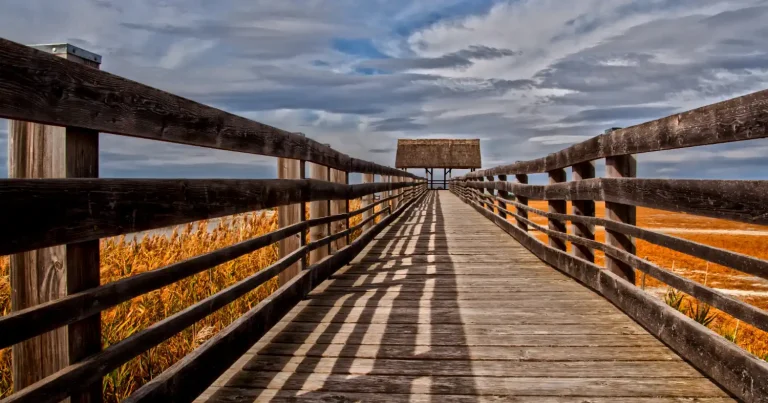 Weboldal karbantartás Csongrád-Csanád megyében