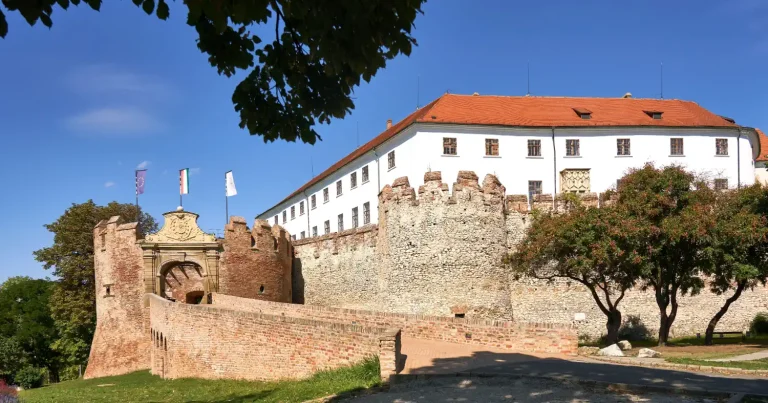Webshop készítés Baranyában - Weboldal Készítő