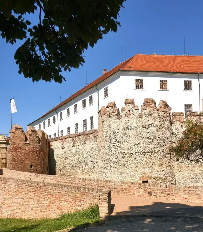Webshop készítés Baranyában - Weboldal Készítő