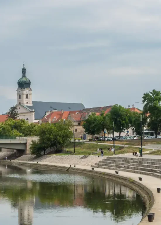 Honlapkészítés Győr - Weboldal Készítő